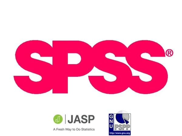 Patikima SPSS duomenų analizė ir konsultacija