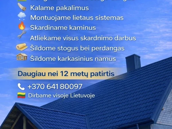 Patyrę stogdengiai: stogai, fasadai, terasos iš vienų rankų!