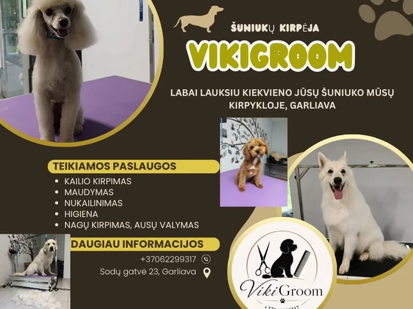 Paversk savo šun? gražuoliu Garliavoje||VikiGroom: profesionalus šun? grožis||Šun? kirpimas, maudymas ir higiena vienoje vietoje||Atgaivink savo augintin? – VikiGroom paslaugos||Garliavos šun? kirp?ja: meil? ir meistriškumas||Nuo kirpimo iki nag? – viskas tavo šuniui||VikiGroom: kiekvienas šuo nusipelno švaros