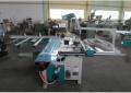 20-60-543 Formatinio pjovimo staklės  MJ6122TD(400) Woodland Machinery (naujos)