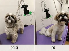 Šunų kirpimo ir higienos paslaugos Garliavoje